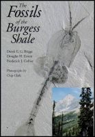 the _fossils_of_the_burgess_shale.jpg