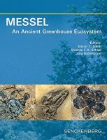 messel_an_ancien_greenhouse_ecosystem.jpg