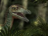 <i>Troodon</i>