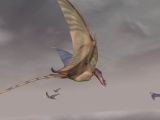 Le vol du Ptérosaure Austriadactylus
