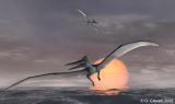 <i>Pteranodon</i>
