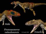 <i>Piveteausaurus valusdinensis</i>
