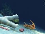 Acidaspis, Trilobite