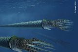 Camaroceras 
