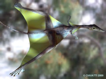 sharovipteryx