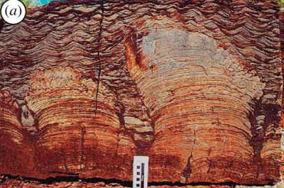 Stromatolites formation de Tumbiana âgés de -2,72 Ga