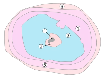 zircon zoné légende