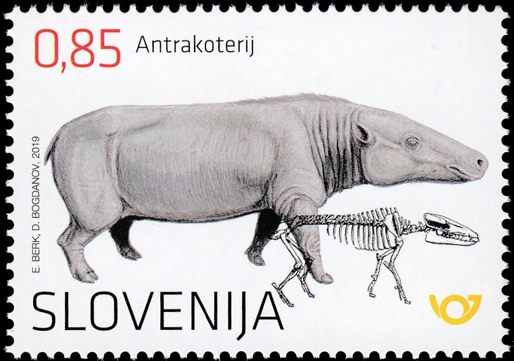 anthracotherium timbre de Slovénie