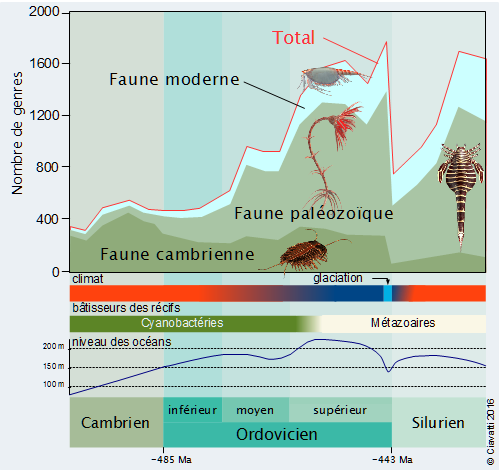 Evolution de la 

biodiversité au cours de l'Ordovicien